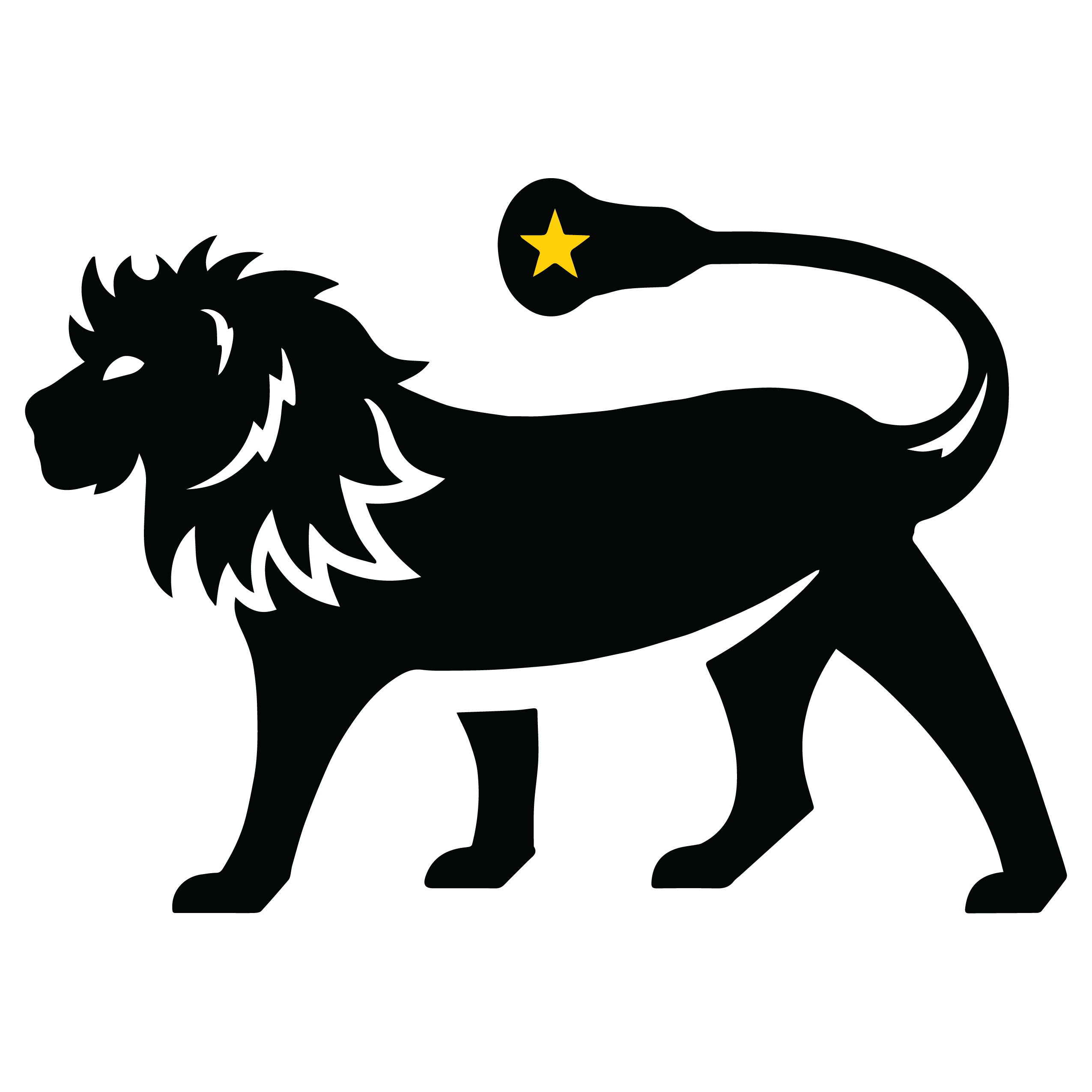 Black Star Lacrosse